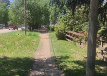 Accidentes en Veredas: ¿Quién paga los daños? El frentista, el municipio y hasta constructoras, en la mira legal