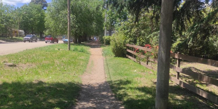 Accidentes en Veredas: ¿Quién paga los daños? El frentista, el municipio y hasta constructoras, en la mira legal