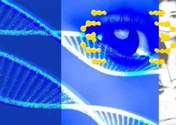 El ‘proyecto Manhattan’ genético: varias empresas quieren modificar embriones y abrir el camino a los ‘bebés a la carta’