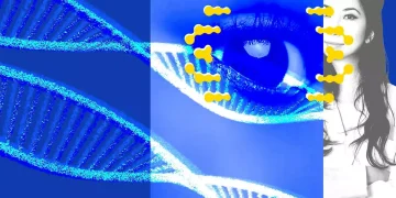 El ‘proyecto Manhattan’ genético: varias empresas quieren modificar embriones y abrir el camino a los ‘bebés a la carta’