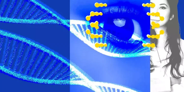 El ‘proyecto Manhattan’ genético: varias empresas quieren modificar embriones y abrir el camino a los ‘bebés a la carta’