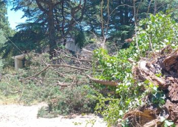 Caída de un árbol causó cortes de luz y cable en un sector de Villa Ventana