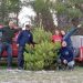 Pinos Navideños Sustentables: La iniciativa de Plan Verde Tornquist corta especies invasoras para proteger las sierras