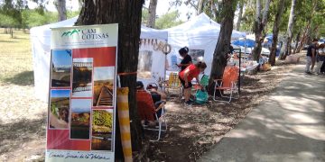 Fiesta de apertura en Saldungaray: Productores y el arte de los barriletes celebran el inicio de la Temporada Estival 2026