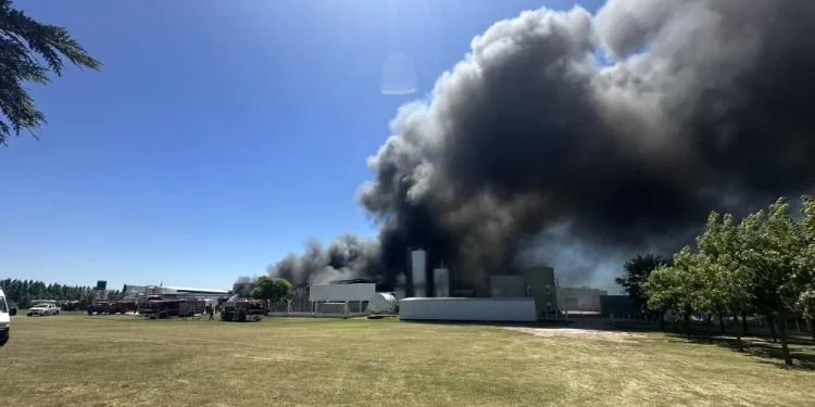 Desastre en Salliqueló: Un voraz incendio destruyó las instalaciones de la láctea «La Familia»