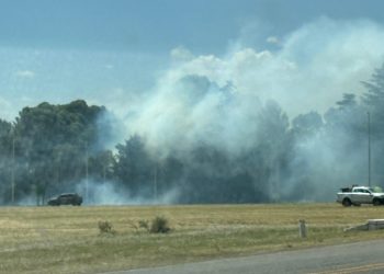 Principio de incendio en el acceso a Tornquist