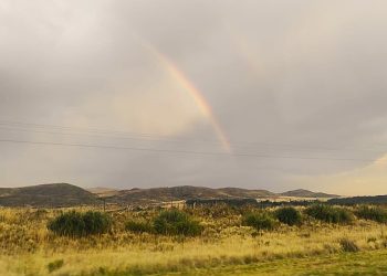 Ventania bajo alerta por calor de 40° y tormentas eléctricas tras el temporal en la Ruta 33