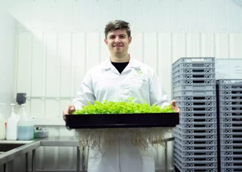 Día del Bromatólogo: ¿por qué se celebra el 29 de diciembre?