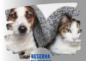 ¡Castraciones mensuales y gratuitas en Saldungaray refuerzan el compromiso municipal!