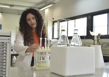 Un estudio del Conicet confirma la presencia de paracetamol, ibuprofeno y viagra en el Río de la Plata: las razones