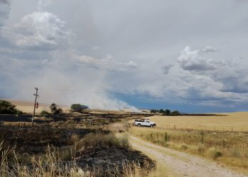Controlado el incendio forestal cerca del Arroyo «El Zorro»: Un transformador Rural provocó la quema de 60 Hectáreas