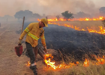 El humo de los grandes incendios en La Pampa y Villarino cubre a Tornquist y la Comarca