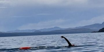 Brazadas de memoria: el médico platense que unió las Islas Malvinas a nado