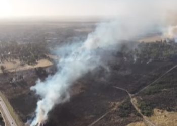 Alivio en Bahía Blanca: Lograron extinguir el incendio forestal en las tierras del Ejército