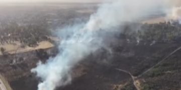Alivio en Bahía Blanca: Lograron extinguir el incendio forestal en las tierras del Ejército