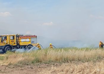 Altas temperaturas y riesgo extremo: Bomberos de Tornquist en alerta permanente