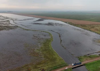 Prorrogaron el estado de emergencia agropecuaria en Buenos Aires