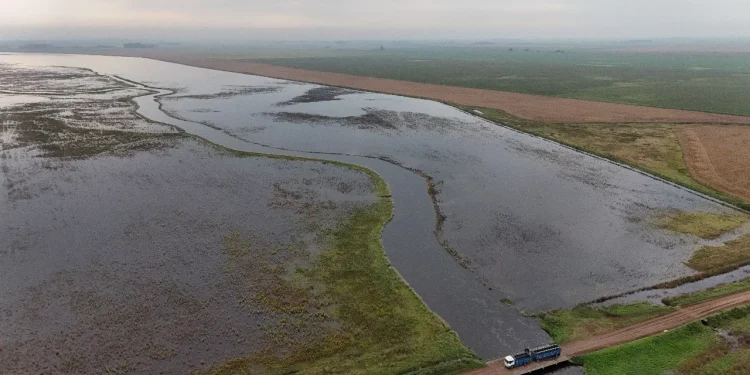 Prorrogaron el estado de emergencia agropecuaria en Buenos Aires