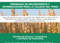 Abierta la convocatoria al programa de mejoramiento y diferenciación para la calidad del Trigo