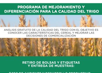 Abierta la convocatoria al programa de mejoramiento y diferenciación para la calidad del Trigo