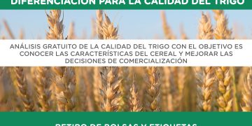 Abierta la convocatoria al programa de mejoramiento y diferenciación para la calidad del Trigo