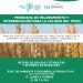 Abierta la convocatoria al programa de mejoramiento y diferenciación para la calidad del Trigo