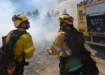 Chubut: el Gobierno asegura que 22 de los 32 incendios están “completamente extinguidos”