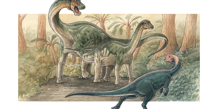 Descubren una nueva especie de dinosaurio saurópodo en Neuquén
