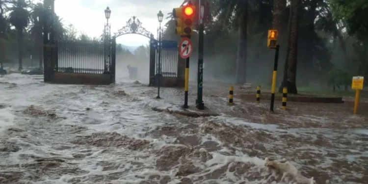 Caos en Mendoza: miles de usuarios sin luz y rescates por un fuerte temporal