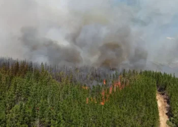 Incendio forestal en zona turística de Chubut arrasó con viviendas y vehículos