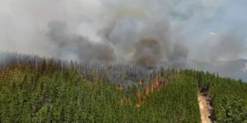 Incendio forestal en zona turística de Chubut arrasó con viviendas y vehículos