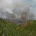 Incendio forestal en zona turística de Chubut arrasó con viviendas y vehículos