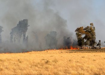 Combaten un incendio forestal en la zona de «Los Siete Puentes» sobre la Ruta 51