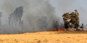 Combaten un incendio forestal en la zona de «Los Siete Puentes» sobre la Ruta 51