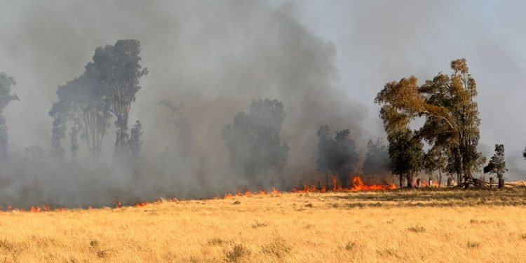 Combaten un incendio forestal en la zona de «Los Siete Puentes» sobre la Ruta 51