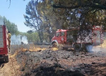 Bomberos realizaron tareas de enfriamiento y control en la zona del Dique Paso de las Piedras