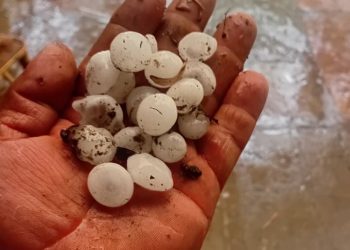 Feroz temporal de lluvia y granizo azotó a Sierra de la Ventana en su 118° Aniversario