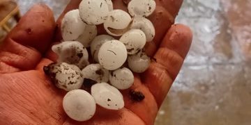 Feroz temporal de lluvia y granizo azotó a Sierra de la Ventana en su 118° Aniversario