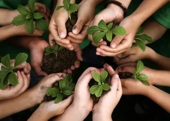 26 de enero: ¿por qué se celebra hoy el Día Mundial de la Educación Ambiental?