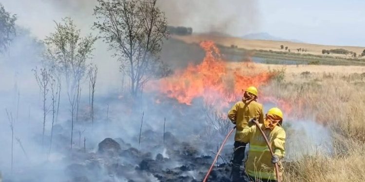 Incendios en Cabildo: Oliver destaca la operatividad del cuartel y la colaboración de los productores