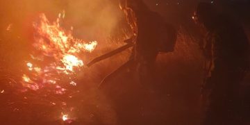 Intensa actividad de los Bomberos de Tornquist: Incendio rural y rescate animal