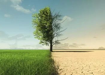 Día Mundial de la Acción frente al Calentamiento Terrestre: ¿por qué se conmemora el 28 de enero?