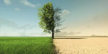 Día Mundial de la Acción frente al Calentamiento Terrestre: ¿por qué se conmemora el 28 de enero?