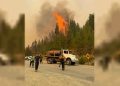 Alerta en Chubut: se reactivaron los incendios forestales por los vientos y las altas temperaturas