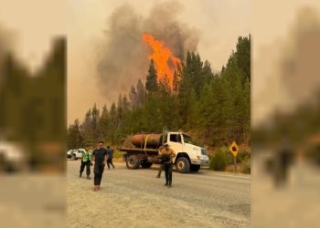 Alerta en Chubut: se reactivaron los incendios forestales por los vientos y las altas temperaturas
