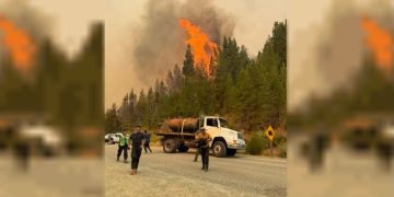 Alerta en Chubut: se reactivaron los incendios forestales por los vientos y las altas temperaturas