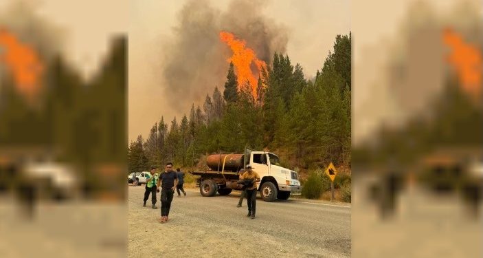 Alerta en Chubut: se reactivaron los incendios forestales por los vientos y las altas temperaturas