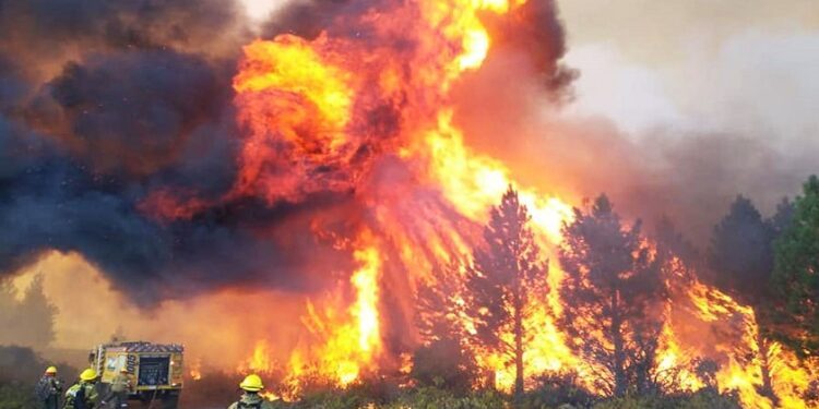 Incendio en Chubut: confirman que fue intencional y Torres dijo que irá por los responsables