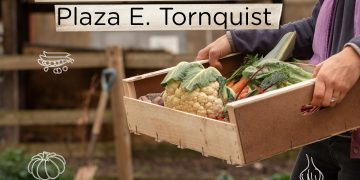 Vuelve la Feria Municipal Distrital en Tornquist