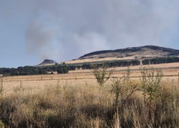 Alerta roja en las sierras: Bomberos combaten un voraz incendio en la zona de la Finca 8 Cerros